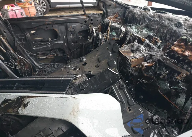 2HGFB2F55EH522596: 43248818