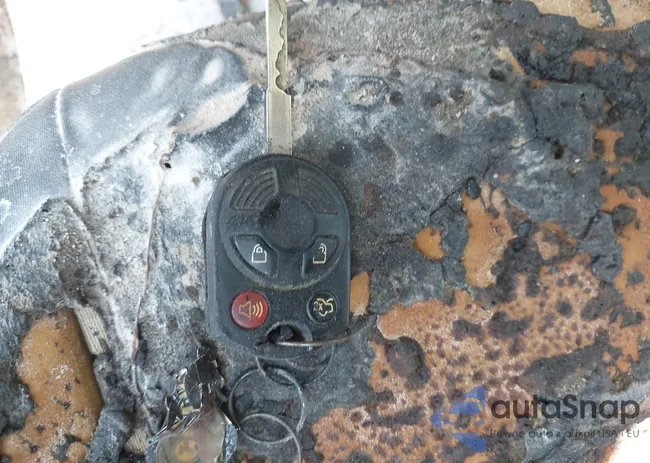 1FADP3E24GL368317: 43249879