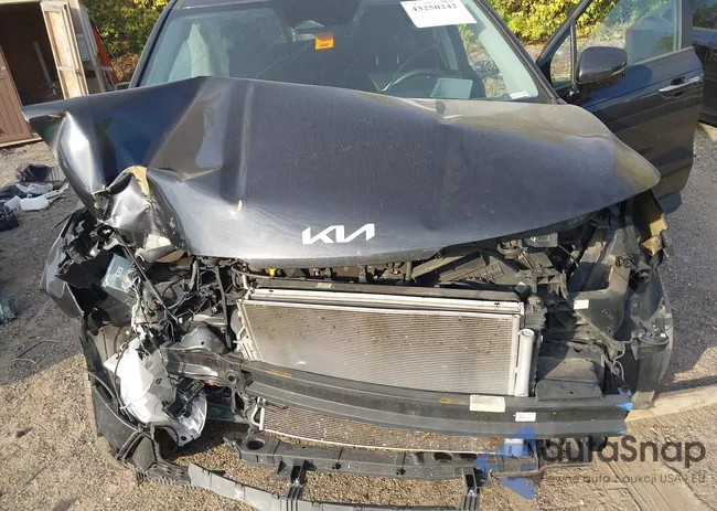 KNDNB4H32R6382385: 43250242