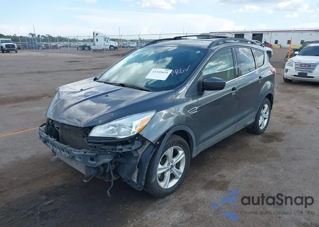 1FMCU9G94GUB10347: 43249655