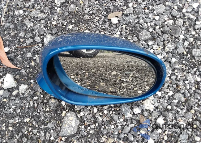 2C3CDZAG2MH520899: 43249657