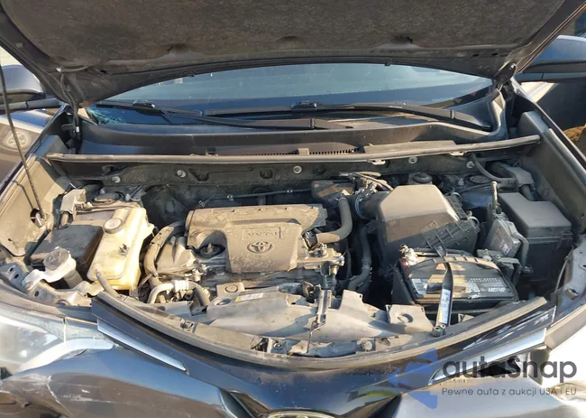 JTMZFREV1JJ183547: 43250936