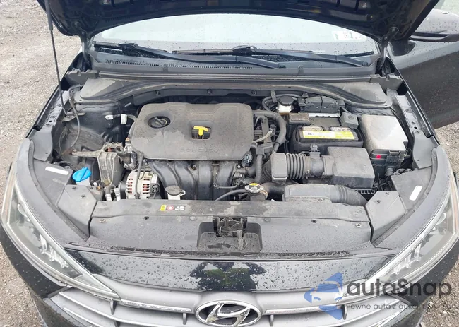 5NPD74LF2LH591637: 43251439