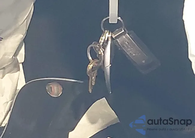 WDDZF4KB9KA679975: 43252329