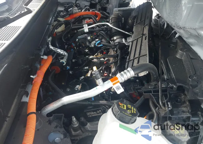 3FTTW8S31SRA19385: 43252387