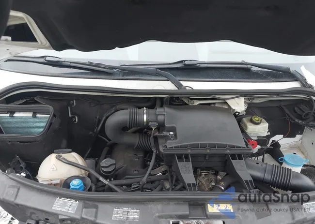 WD3PE7CD0GP258456: 43251666