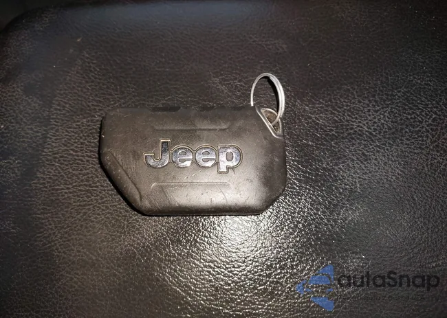 1C4HJXDG5MW713043: 43252866