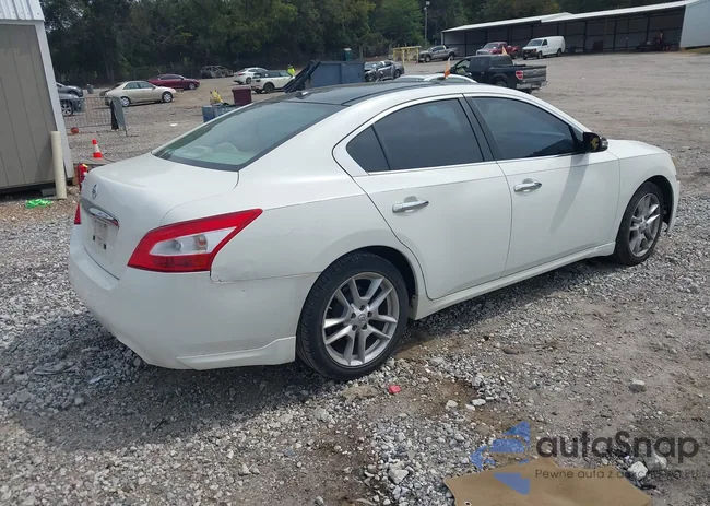 1N4AA5AP9BC840960: 43252899