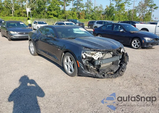 1G1FB1RS1K0145056: 43253099