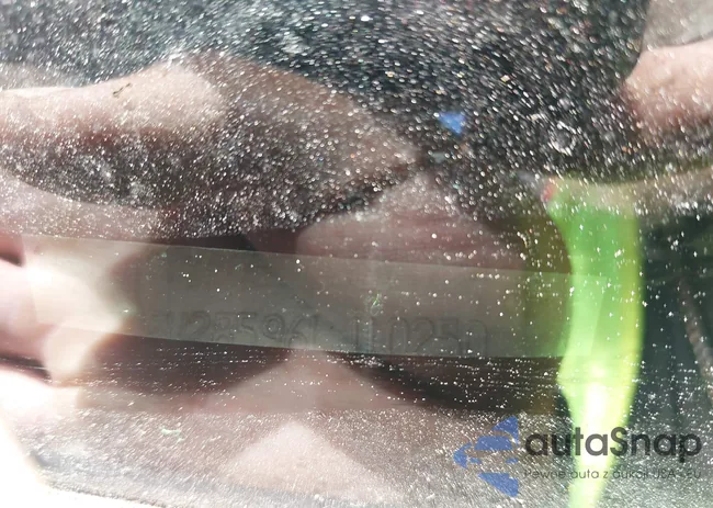 5LMFU28596LJ10250: 43254216