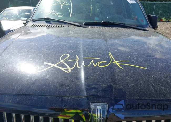 5LMFU28596LJ10250: 43254216