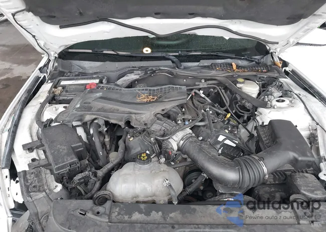 1FATP8EMXF5341040: 43253549