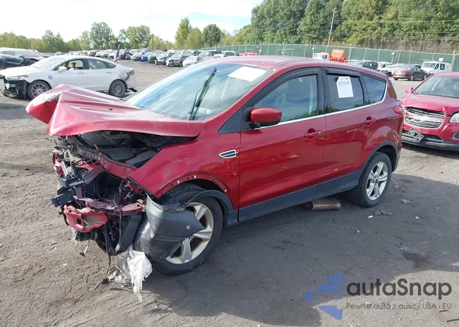 1FMCU9GX7FUB87596: 43255149