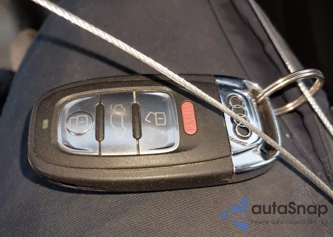 WA1L2AFP6HA044828: 43255221