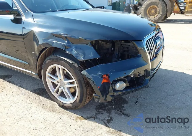 WA1L2AFP6HA044828: 43255221