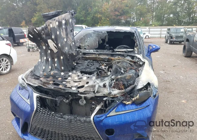 JTHBA1D29G5003871: 43255709