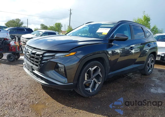 5NMJF3AE0NH096119: 43257065