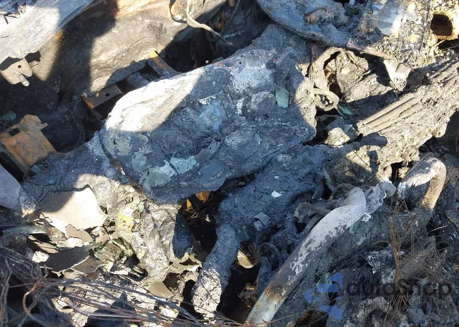 1HGCV3F59MA023135: 43256513