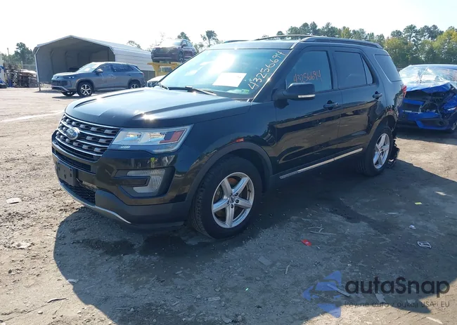 1FM5K8DH1HGA65680: 43256694