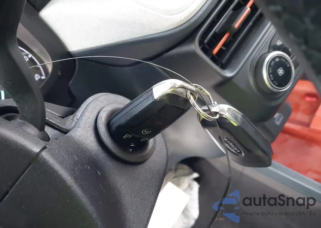 3FTTW8J91RRA11559: 43258146