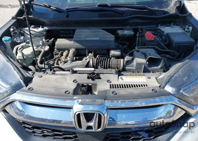 5J6RW2H87JL028657: 43258412