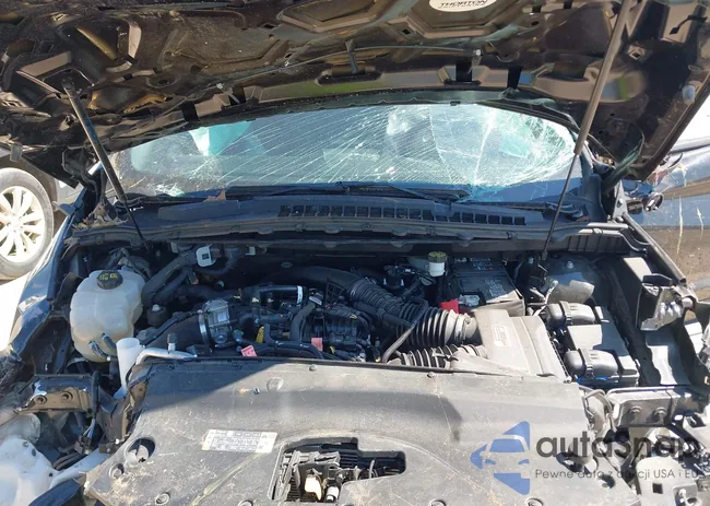 2FMPK4AP5NBA24484: 43259394