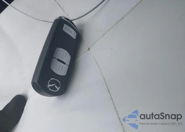 JM1BN1M34H1146038: 43258588