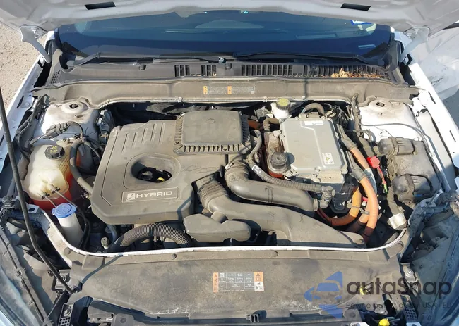 3FA6P0LU0KR207467: 43259901