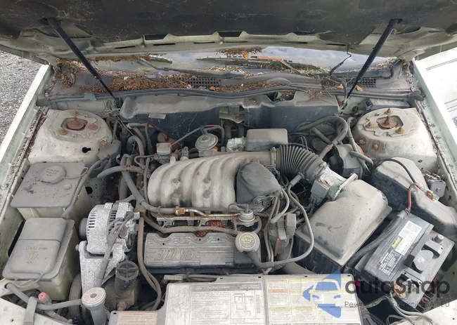 1FALP52U2SA267004: 43259561