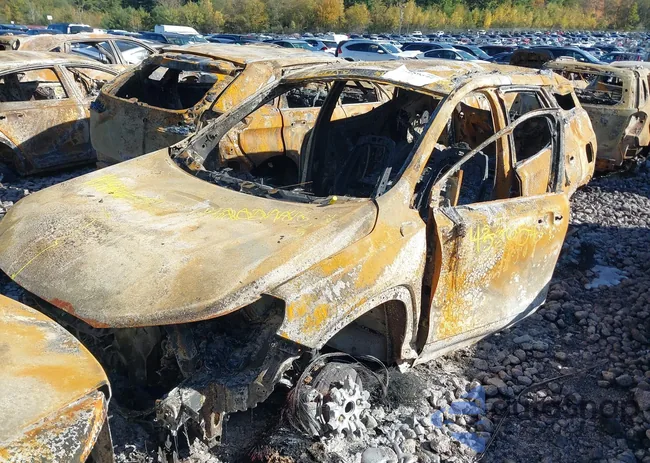 3GKALVEG4PL171348: 43259594