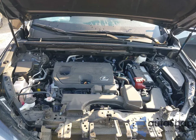 2T2ADCAZ0SC024438: 43261249