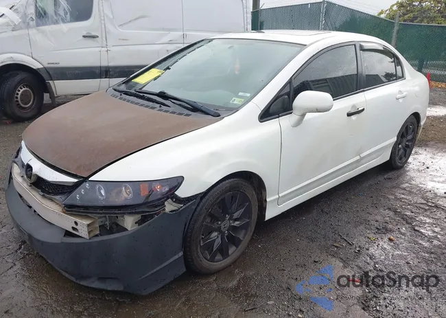 2HGFA1F80BH542998: 43261906