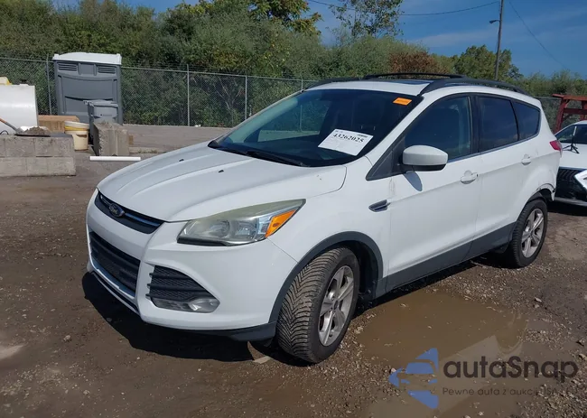 1FMCU0GXXEUC63922: 43262025