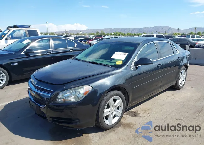 1G1ZB5E06CF270612: 43262329