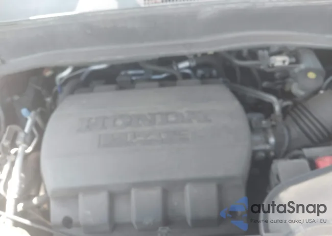 5FNYF4H42CB049688: 43262431