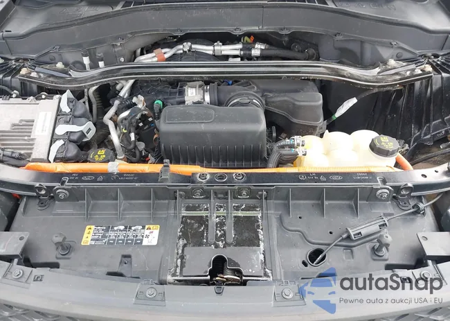 1FM5K8AW4LGA95462: 43261664