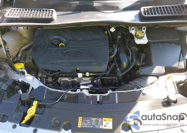 1FMCU9GD7HUE42904: 43261794