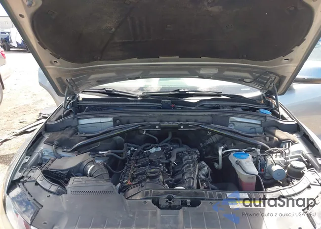 WA1CFAFP1BA012560: 43263162