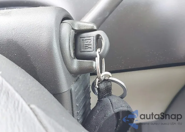 1GNDX03E12D115620: 43263195