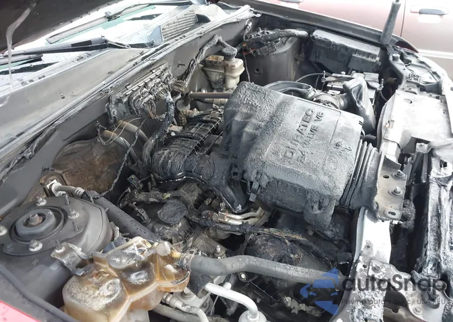 1FMCU03G09KA33636: 43263880