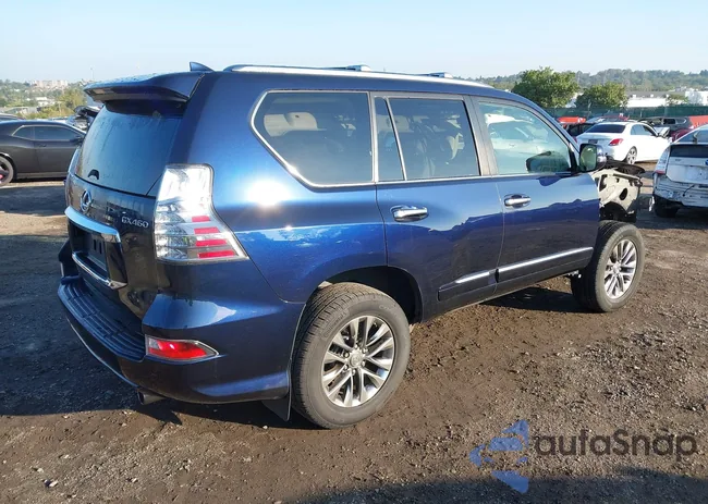 JTJJM7FX9H5161979: 43264833