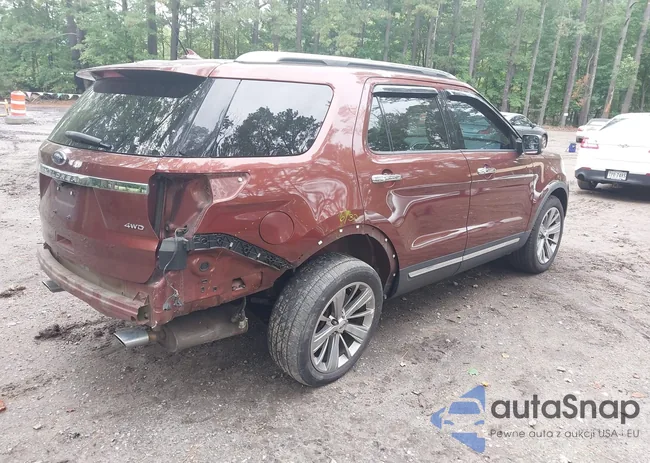 1FM5K8F84JGB66862: 43264850