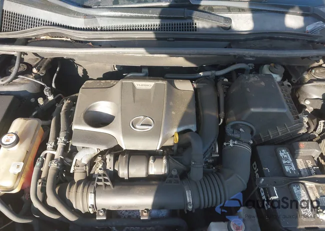 JTJBARBZ4H2110200: 43264918