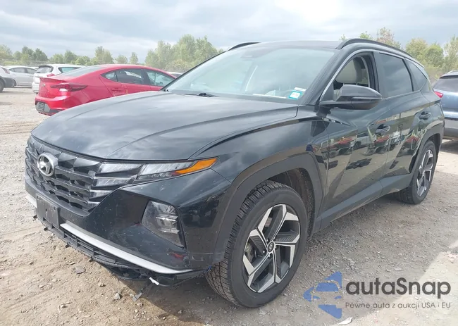 5NMJFCAE8PH170843: 43267312