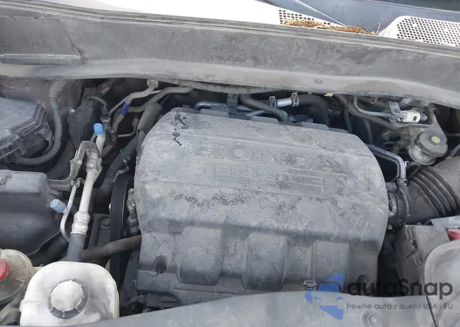 5FNYF3H51EB001637: 43266592