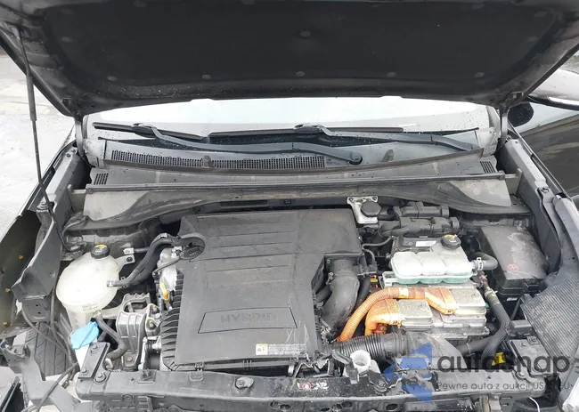 KNDCB3LC9K5338713: 43268181