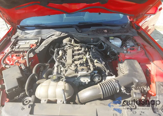 1FATP8UH8M5107996: 43267441