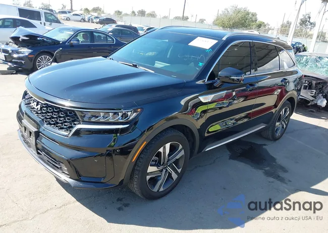 KNDRHDLG8P5202484: 43268475