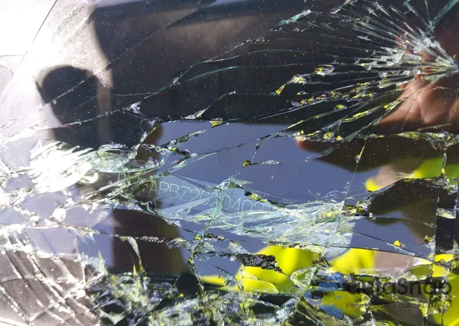 JTJYARBZ2G2040219: 43271939