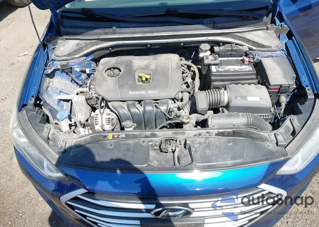 5NPD84LF2HH182719: 43272020